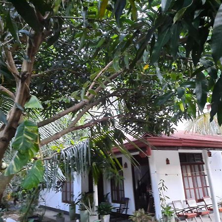 Eagle Homestay Tangalle Exteriér fotografie