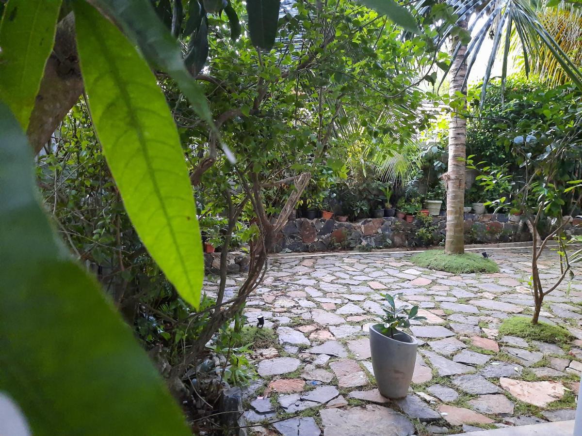 Eagle Homestay Tangalle Exteriér fotografie