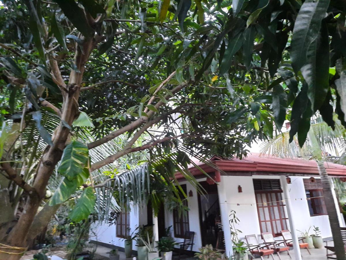 Eagle Homestay Tangalle Exteriér fotografie