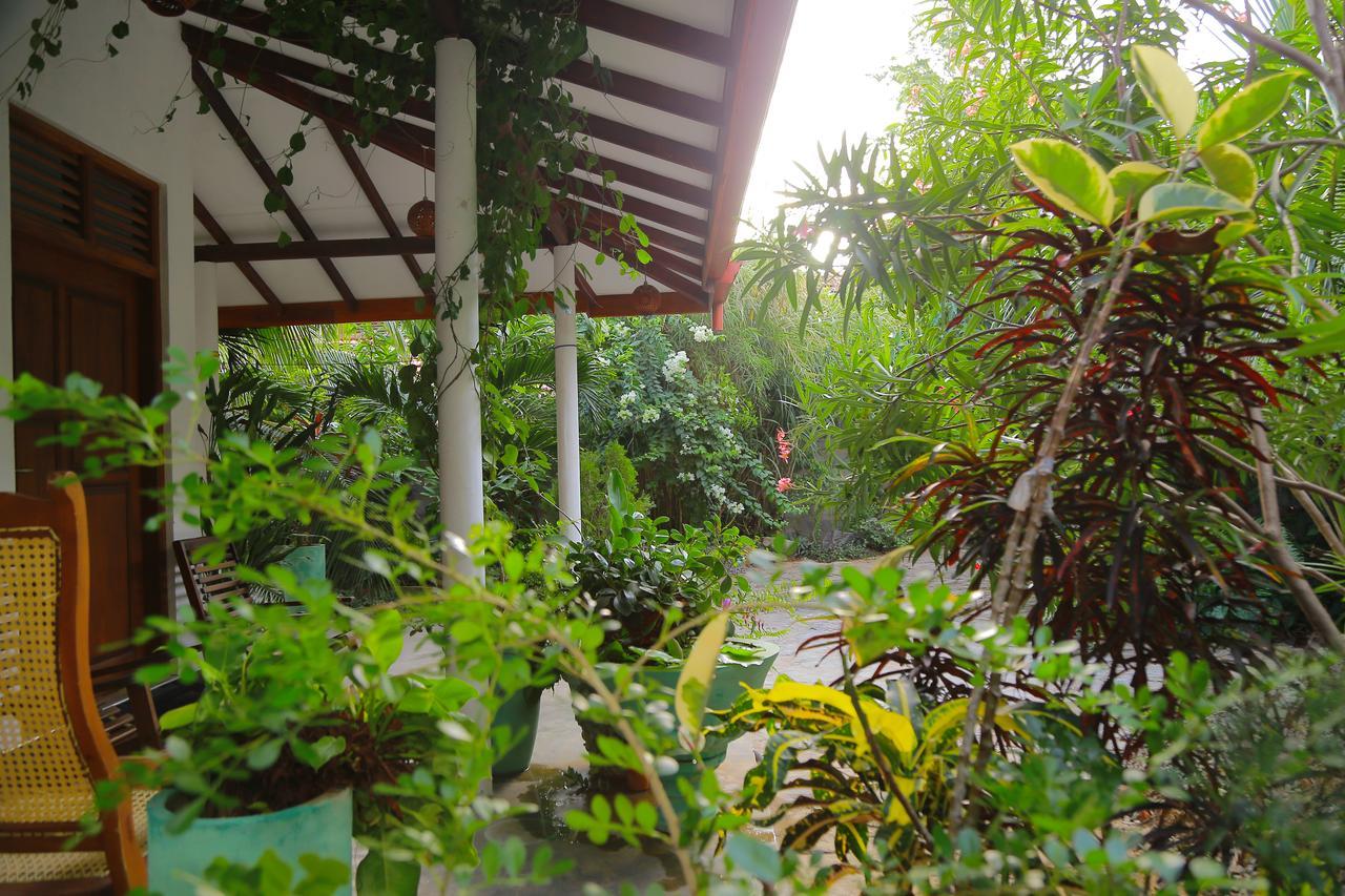 Eagle Homestay Tangalle Exteriér fotografie