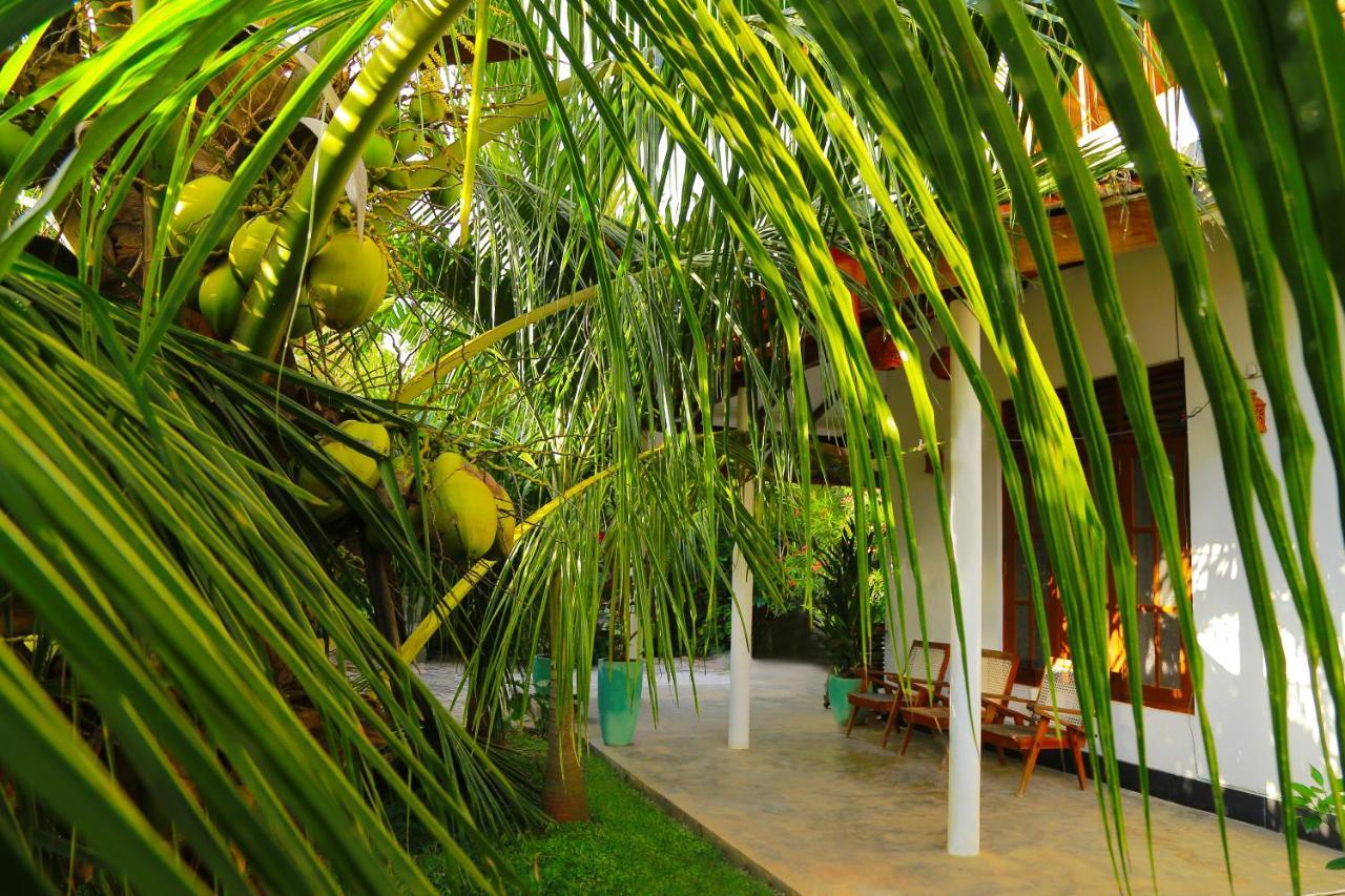 Eagle Homestay Tangalle Exteriér fotografie
