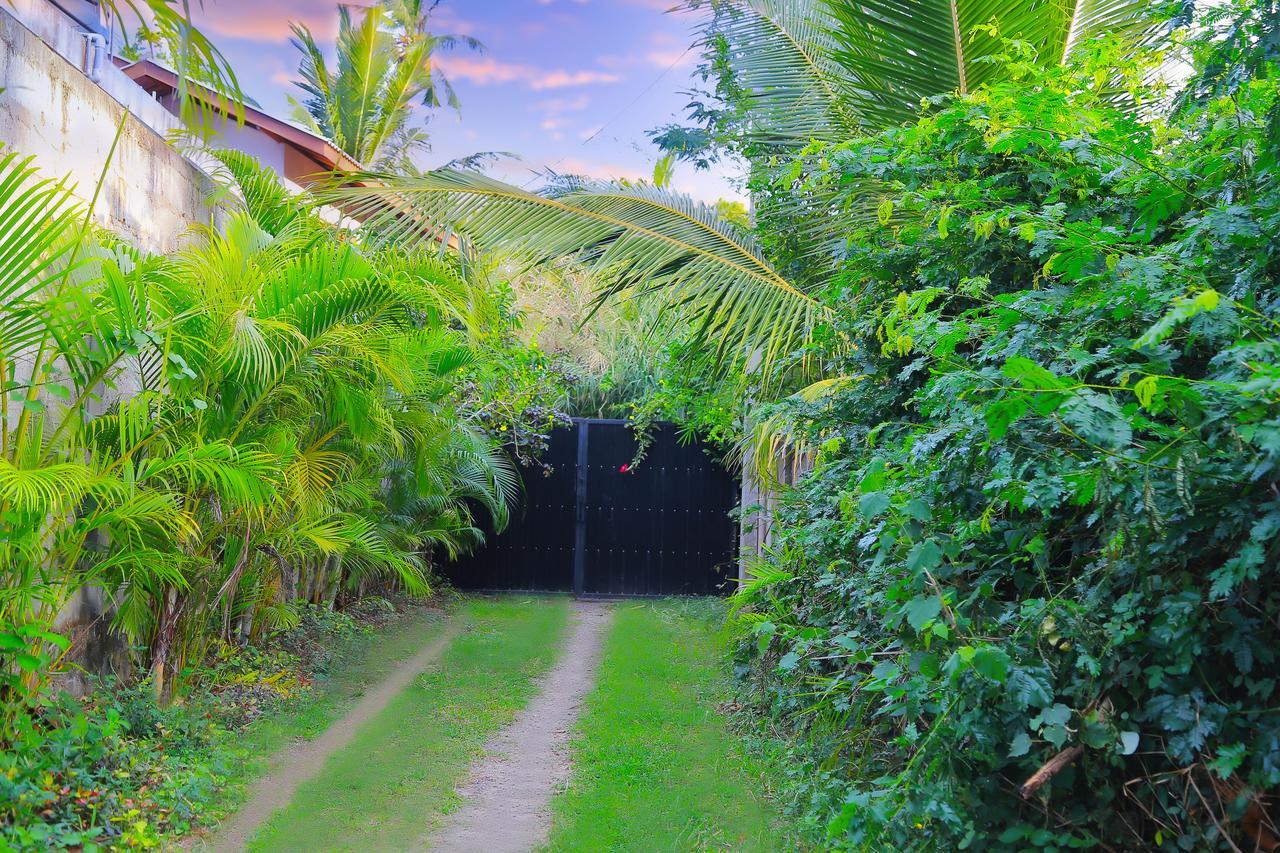 Eagle Homestay Tangalle Exteriér fotografie