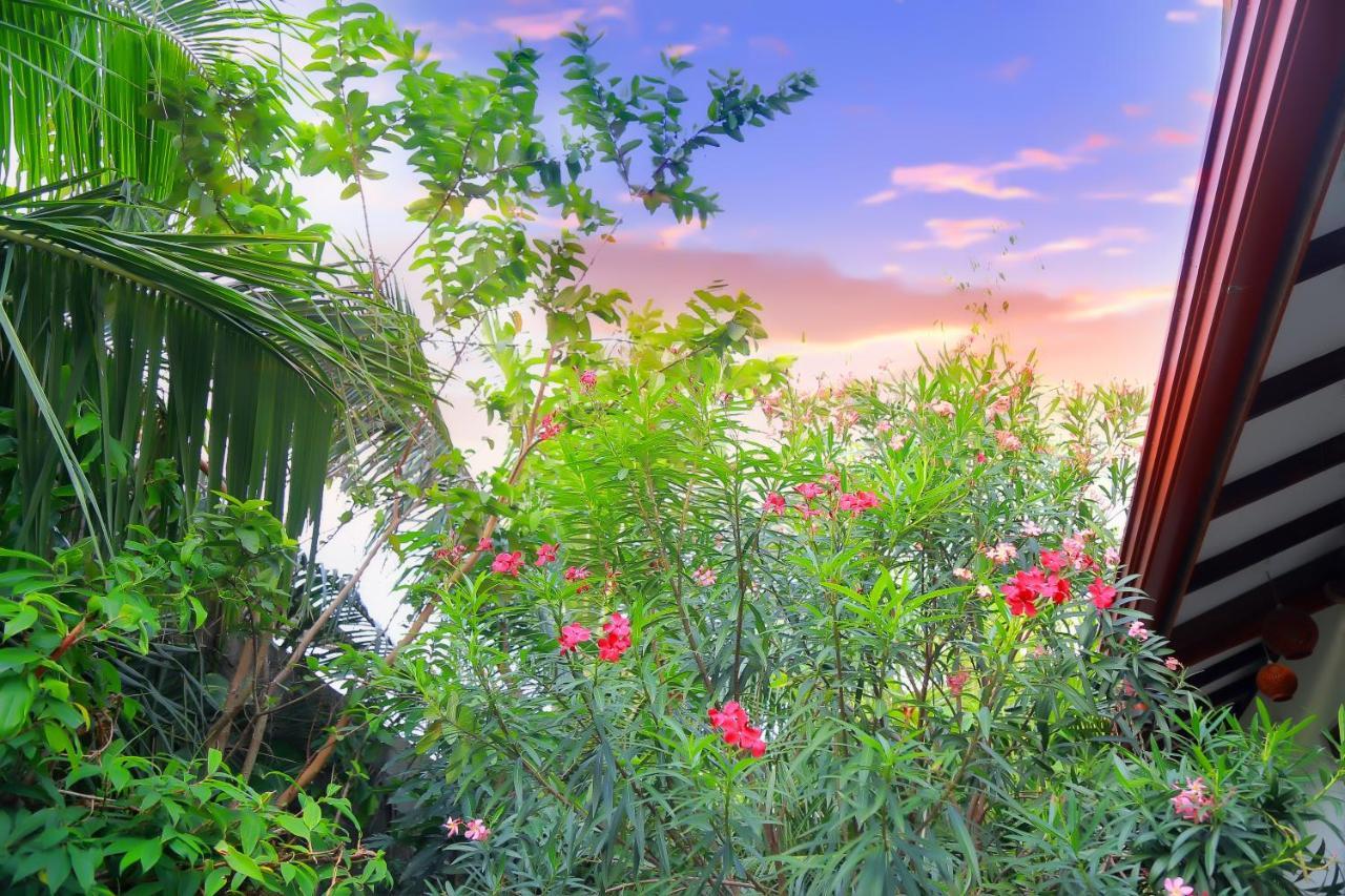 Eagle Homestay Tangalle Exteriér fotografie