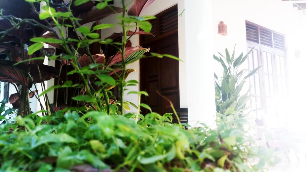 Eagle Homestay Tangalle Exteriér fotografie