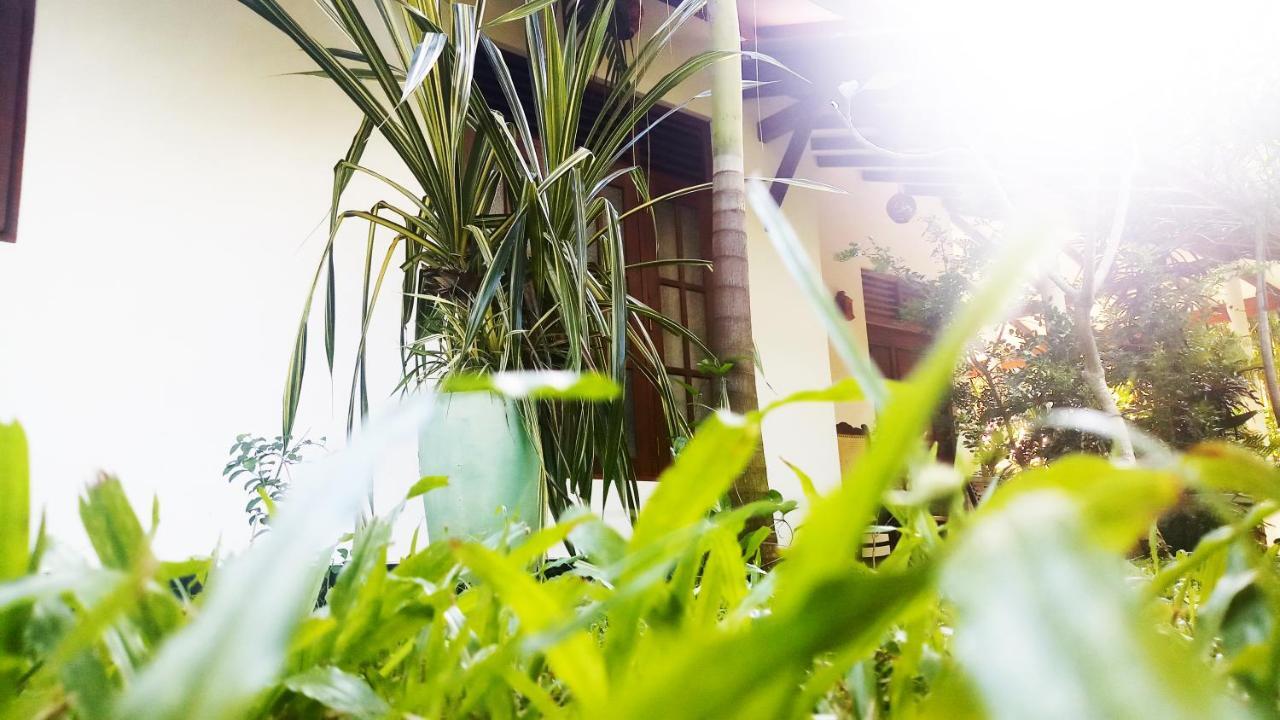 Eagle Homestay Tangalle Exteriér fotografie