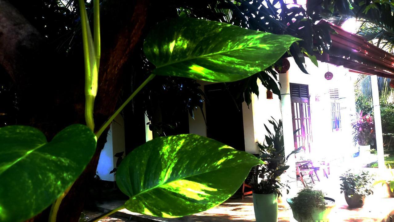 Eagle Homestay Tangalle Exteriér fotografie