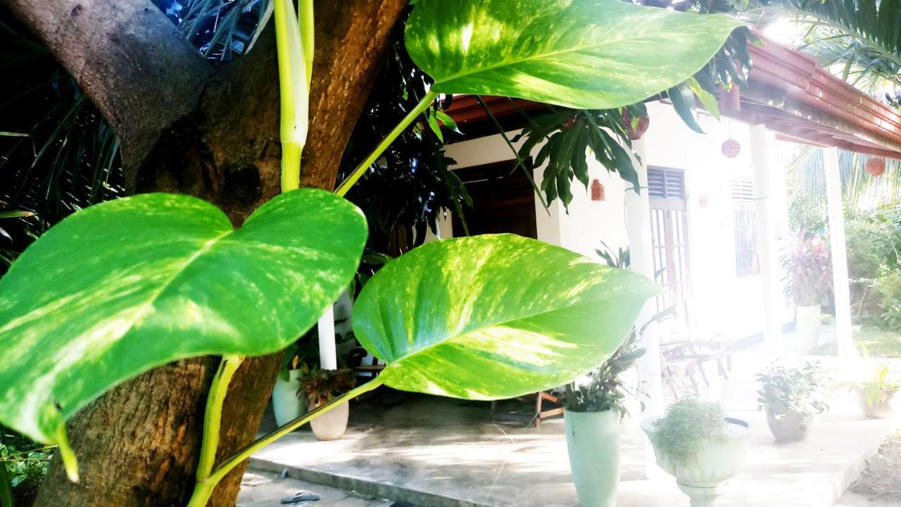 Eagle Homestay Tangalle Exteriér fotografie
