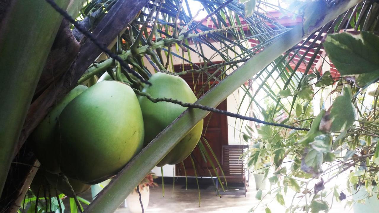 Eagle Homestay Tangalle Exteriér fotografie