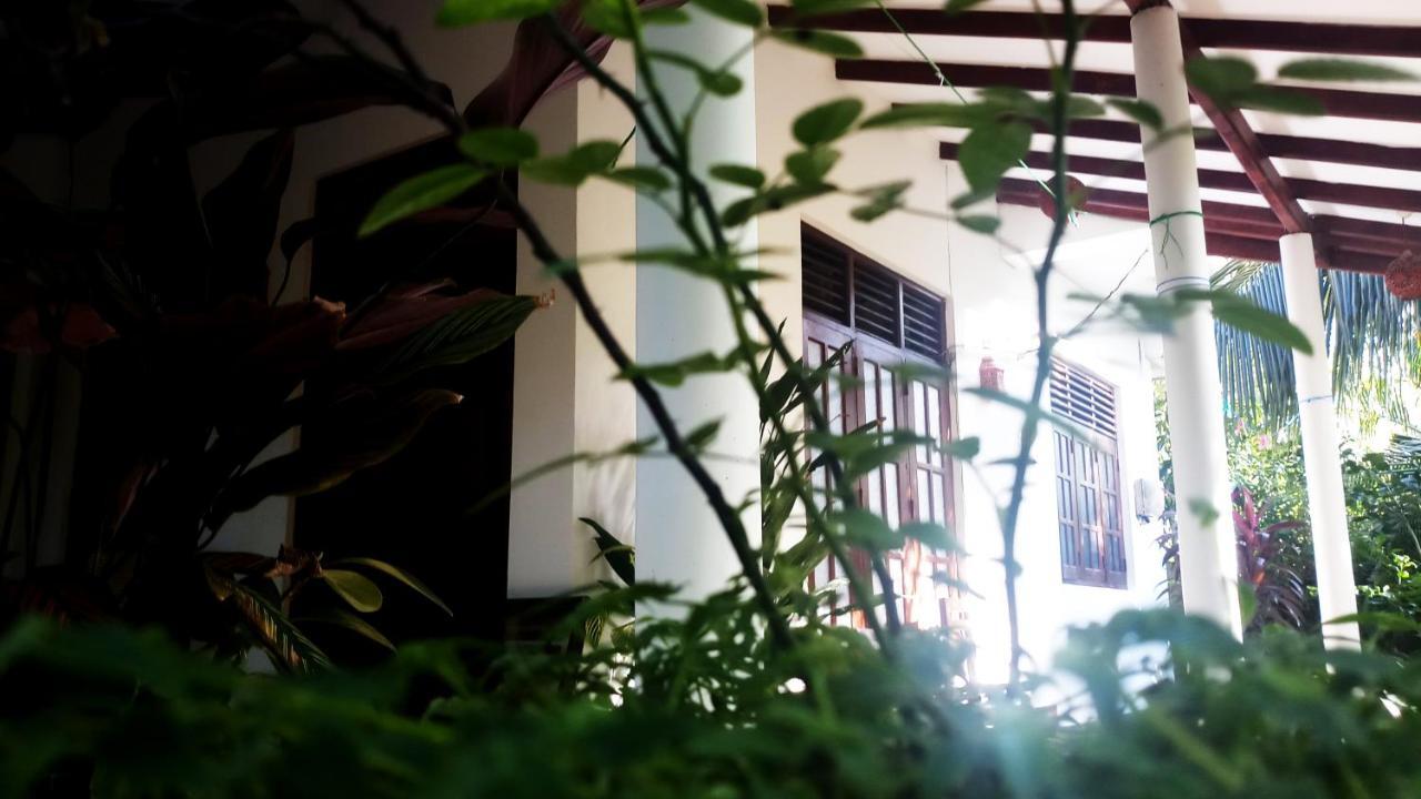 Eagle Homestay Tangalle Exteriér fotografie