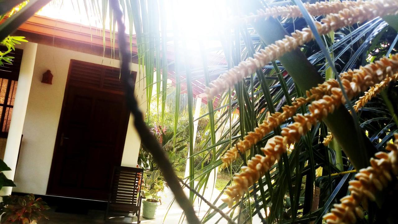 Eagle Homestay Tangalle Exteriér fotografie