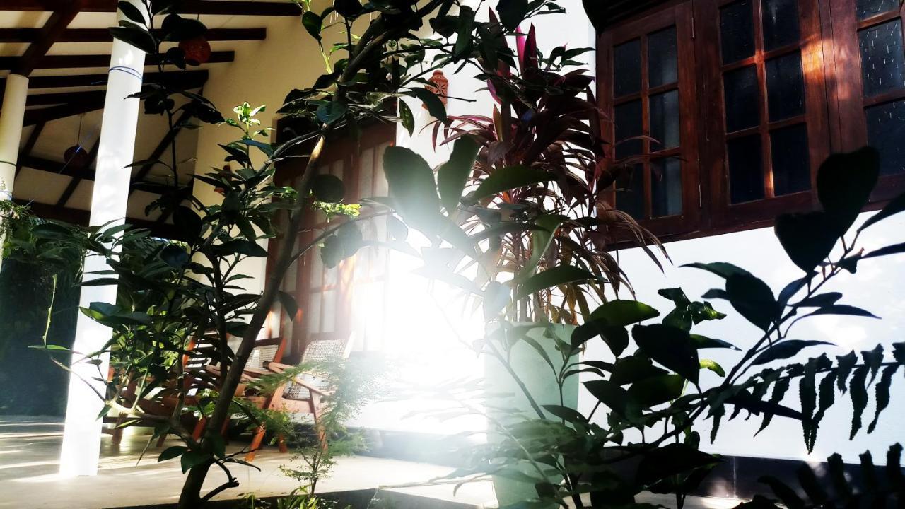 Eagle Homestay Tangalle Exteriér fotografie