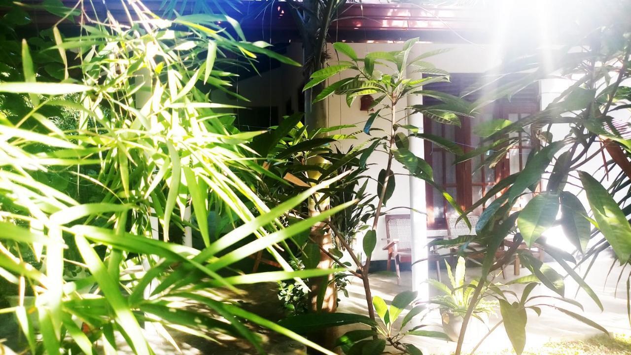 Eagle Homestay Tangalle Exteriér fotografie