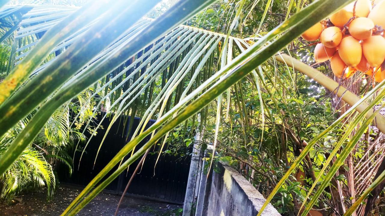 Eagle Homestay Tangalle Exteriér fotografie