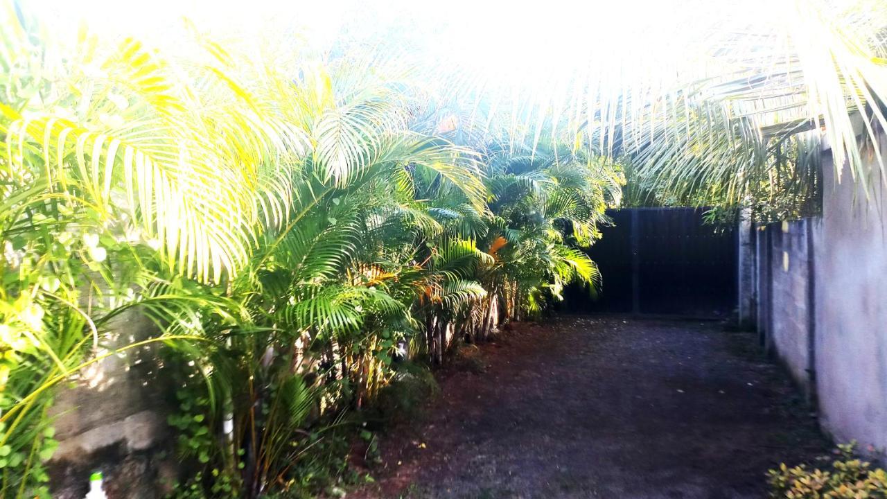 Eagle Homestay Tangalle Exteriér fotografie
