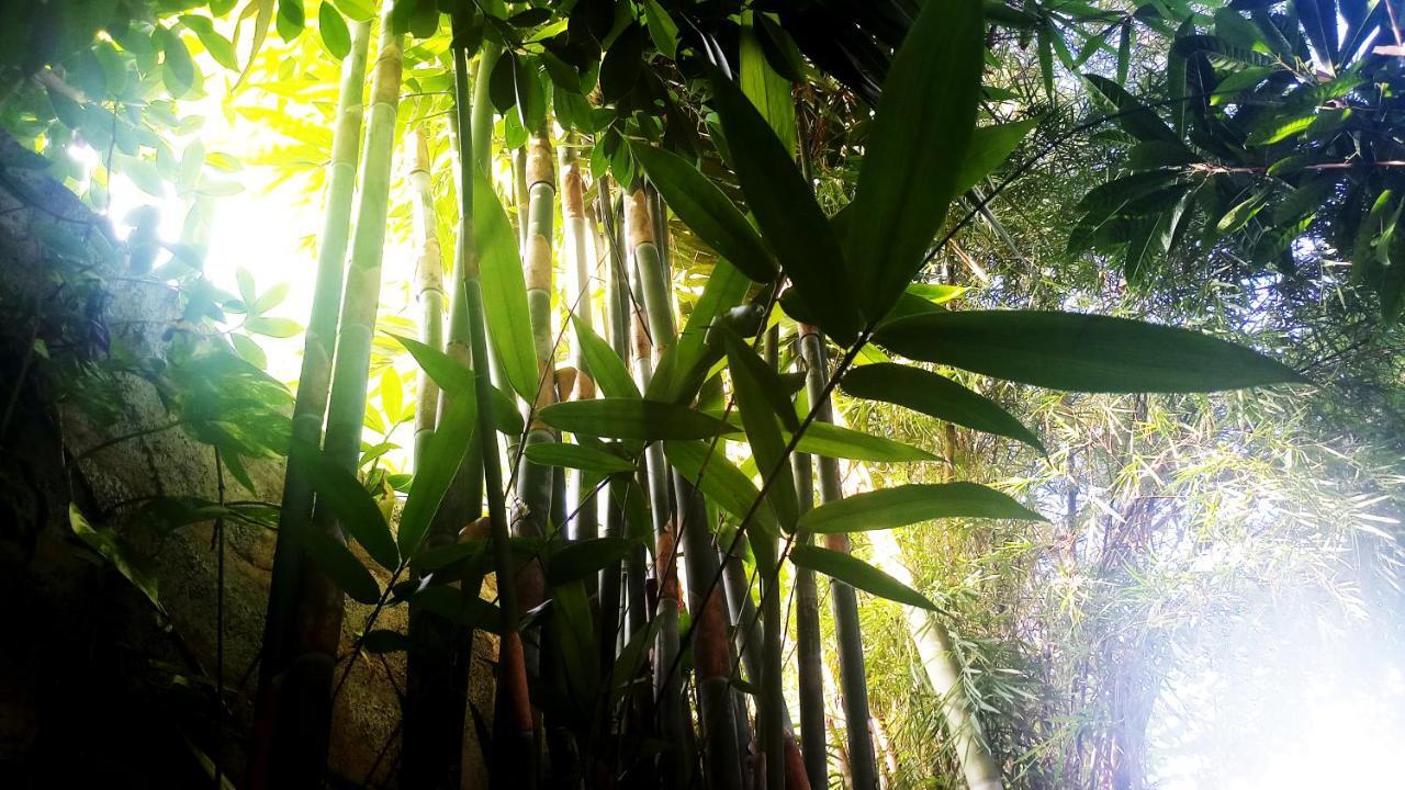 Eagle Homestay Tangalle Exteriér fotografie