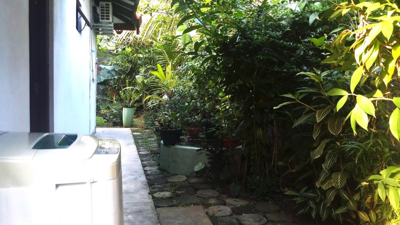 Eagle Homestay Tangalle Exteriér fotografie